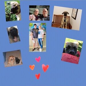 Meet your Posher, Julie